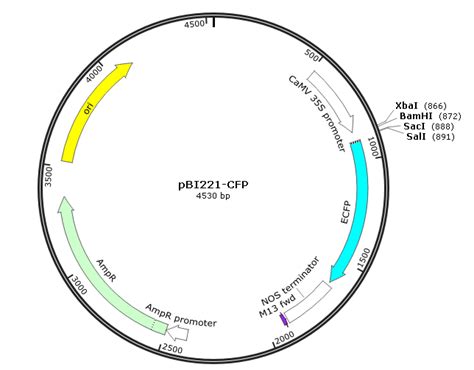 Toradh íomhá ar Ppiczalpha