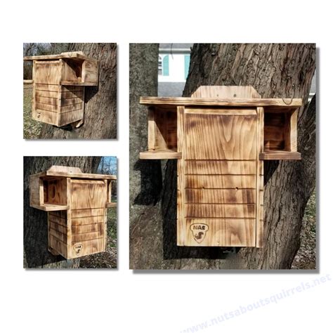 Fox Squirrel Nest Box に対する画像結果