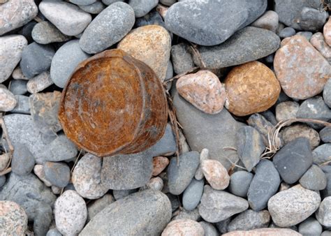 Image result for Science Project For6 Th Class