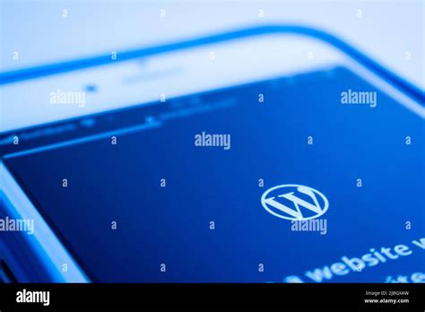 Image result for New MySQL Logo