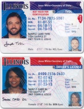 Image result for Interim Driver License Class C