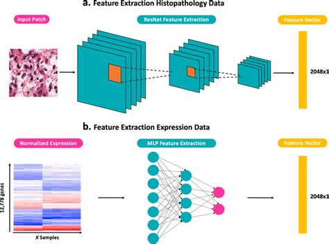 Image result for Data Feature Extraction Real-Time GIF