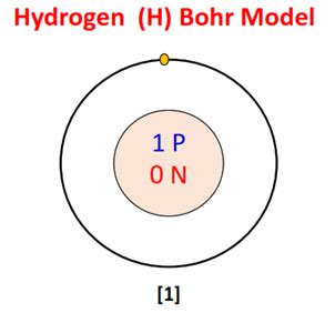 H Element Model に対する画像結果
