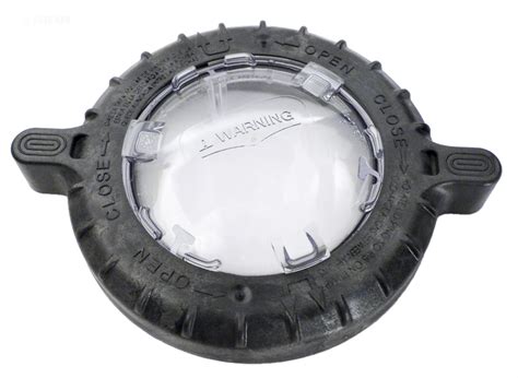 Image result for Sta-Rite Maxi Pro