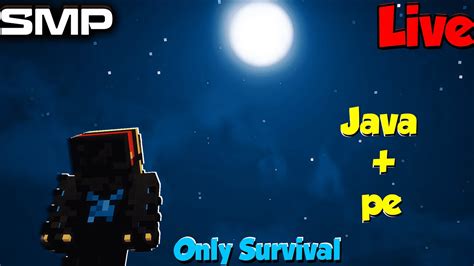 Image result for Java SMP IPS