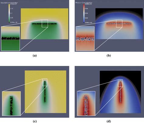 Image result for Reactants of Photosynthesis What Goes In