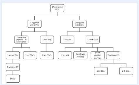 Flow Trigger Y Graph に対する画像結果