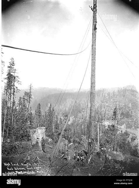 Image result for High Line Logging Mast