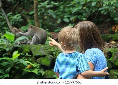 Monkey Pointing Up に対する画像結果