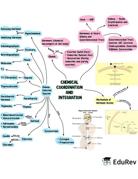 Afbeeldingsresultaten voor Integration Mind Map