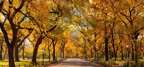 Toradh íomhá ar Multifocal IOL