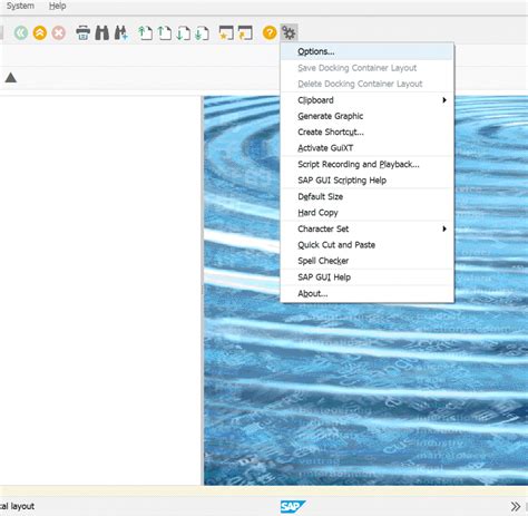 Image result for Macro SAP GUI Sans Coder