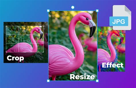 Image result for PDF Files to Jpg