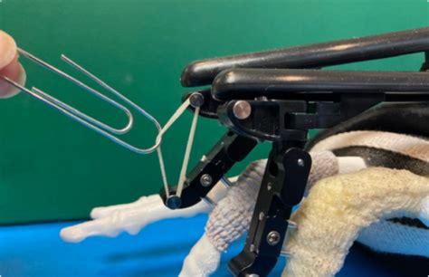 Toradh íomhá ar Digit Widget Finger