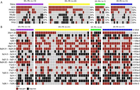 Image result for Copy Number Variation in Cancer Example