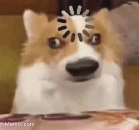 Image result for Prairie Dog Loading Meme