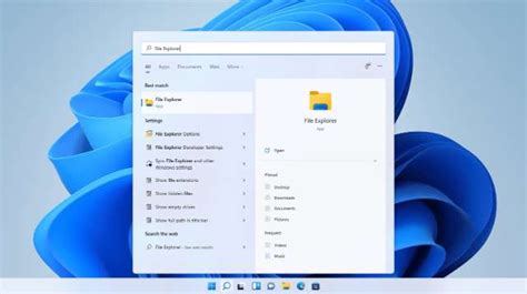 Image result for File Explorer Many Drives