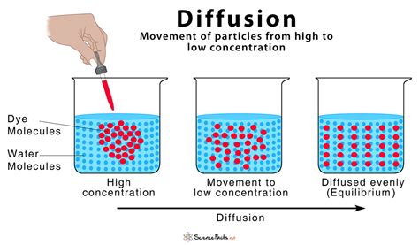Image result for Diffusion Generation Process