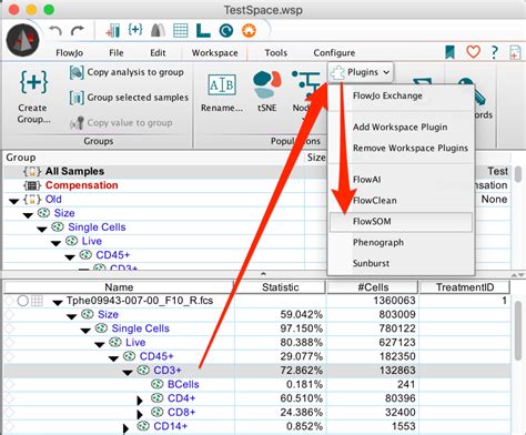How to Delete a Groups in FlowJo に対する画像結果