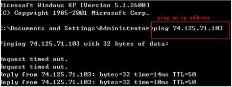 Image result for How to Use Ping Command