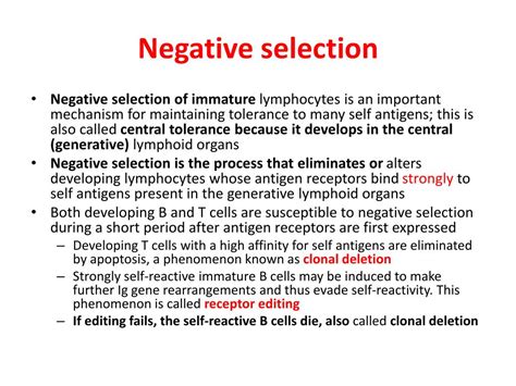 Image result for Negative Selection Hypothesis