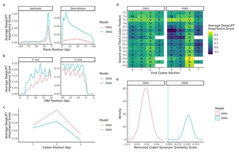 Afbeeldingsresultaten voor Deep Learning Feature Importance