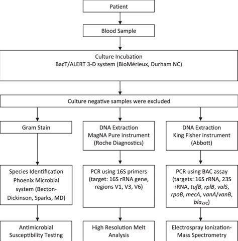 Afbeeldingsresultaten voor Microbiology Workflow