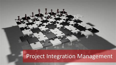 Image result for Describe Project Integration Management