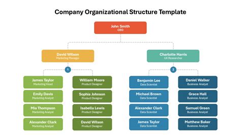 Image result for Organazation Structure in Startup