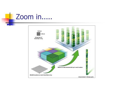 Image result for microarray data analysis