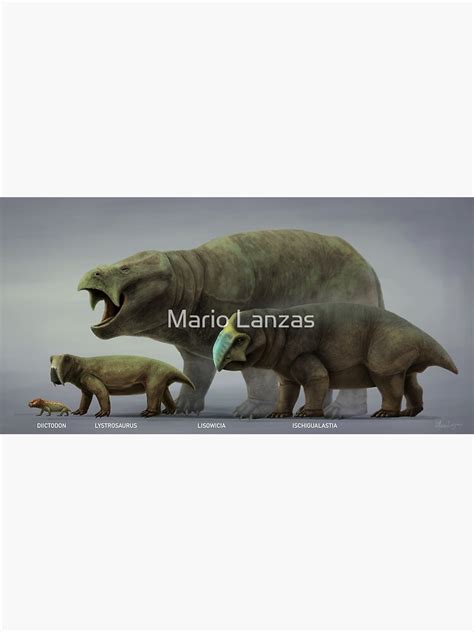 Interparietal Dicynodont に対する画像結果