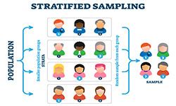 Stratified Sampling Auditing に対する画像結果