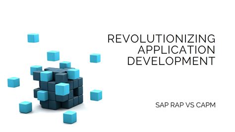 SAP Rapm and CAPM に対する画像結果