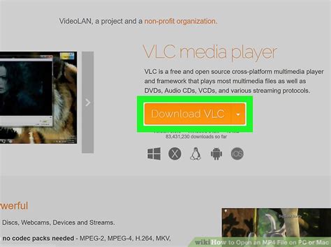 Image result for File Opening MP4