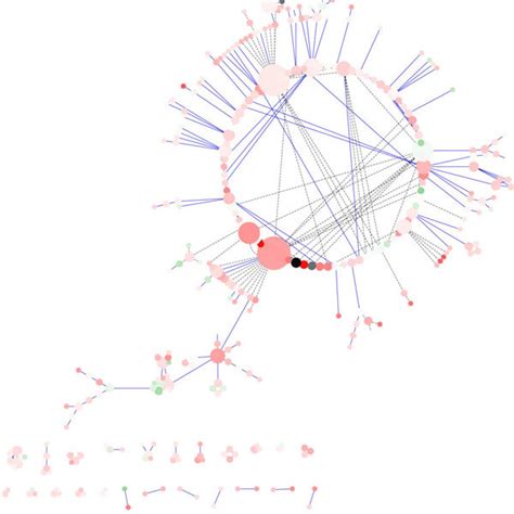 Image result for Layout Algorithm Network