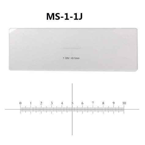 Image result for Microscope Slide with Scale