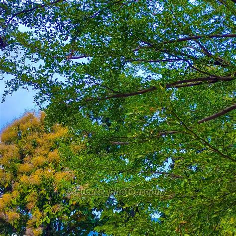 Afbeeldingsresultaten voor File Icon Picute