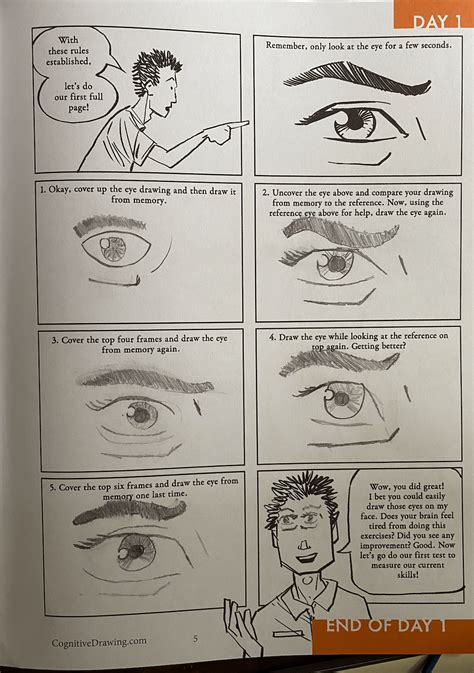 Image result for Cognitive Function Drawing