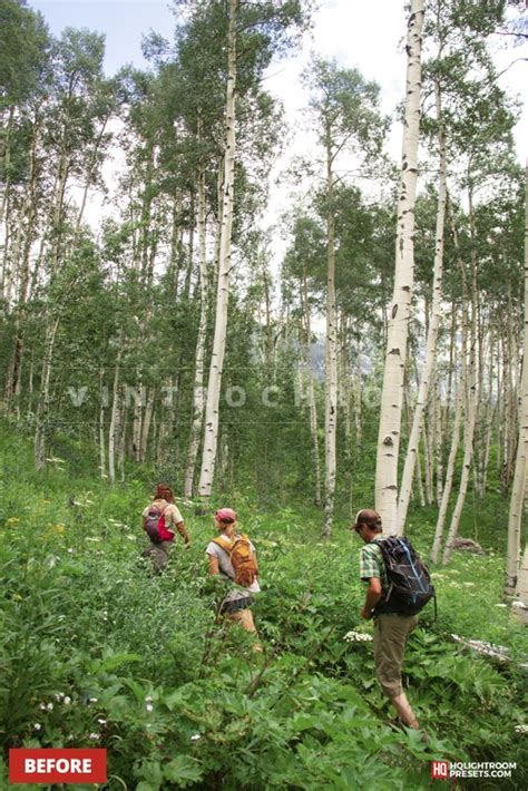 Toradh íomhá ar Java Color Presets