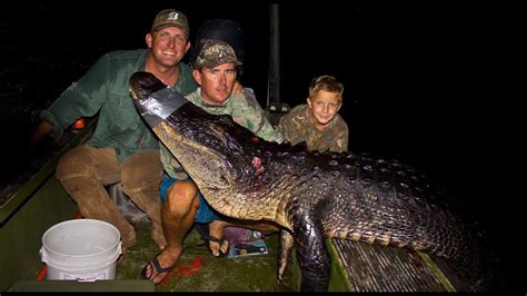 Afbeeldingsresultaten voor Alligator Catch Clean and Cook