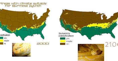 Toradh íomhá ar Python Impact