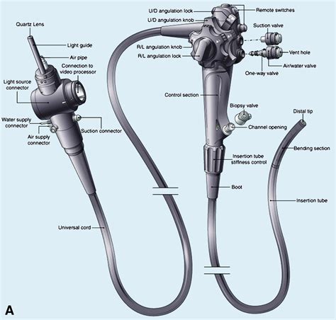 Image result for GI Endoscopes