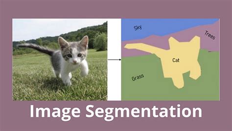 Afbeeldingsresultaten voor Clustering Algorithms Computer Vision