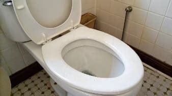 Image result for Toilet Kind