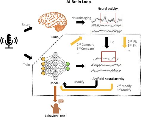 Deep Learning Brain に対する画像結果