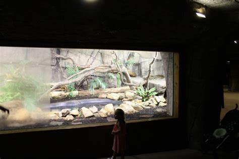 Image result for Python Zoo Enclosure