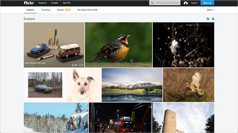 Image result for Photo Repository Sites