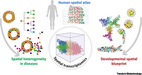 Image result for Spatially Resolved Transcriptomics