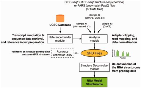 Image result for RNA Transcriptome