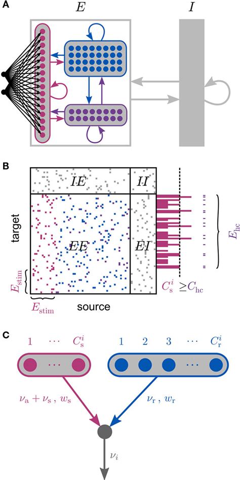 Single Neuron Model に対する画像結果